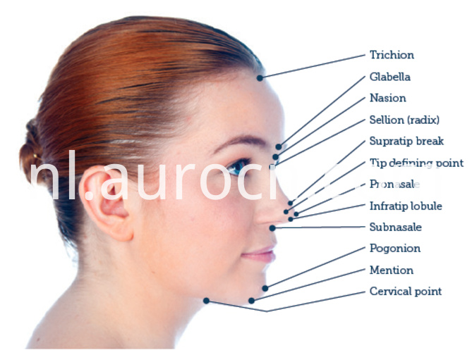 neusvuller nose filler